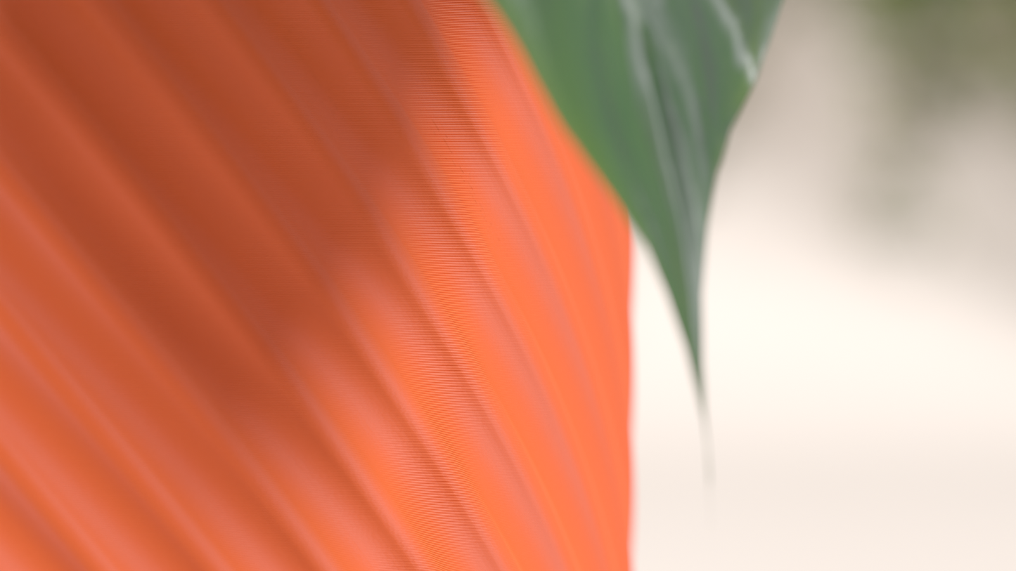 Spiral Planter, Drainage Organizer, Desktop Succulent Holder, Modern Minimalist Statement