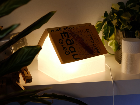 pendant lamp, reading nook bedside illuminator, architectural bibliophile nightstand