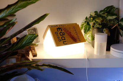 pendant lamp, reading nook bedside illuminator, architectural bibliophile nightstand