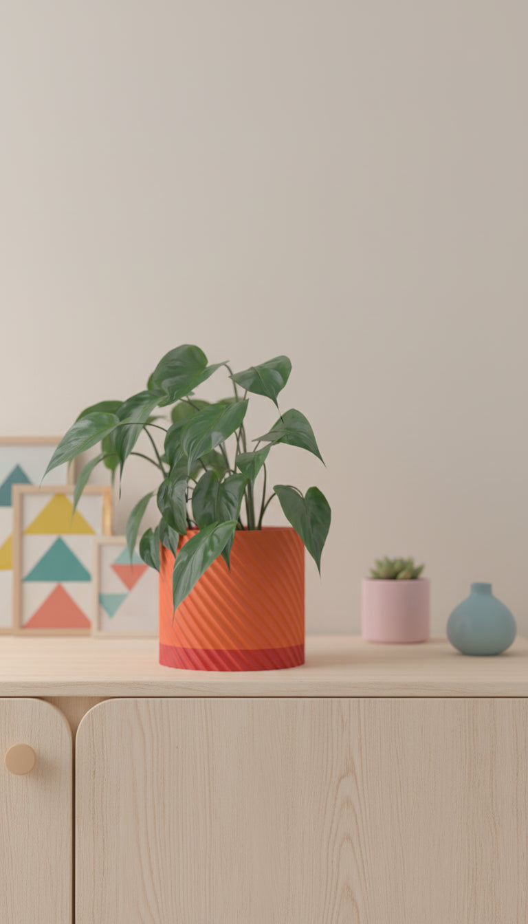 Spiral Planter, Drainage Organizer, Desktop Succulent Holder, Modern Minimalist Statement