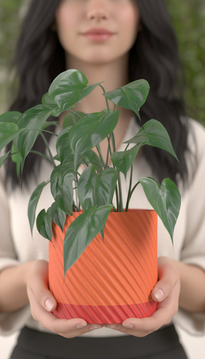 Spiral Planter, Drainage Organizer, Desktop Succulent Holder, Modern Minimalist Statement