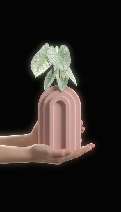 Propagation Vase, Contemporary Geometric Arch Display, Desktop Botanical Tube Planter