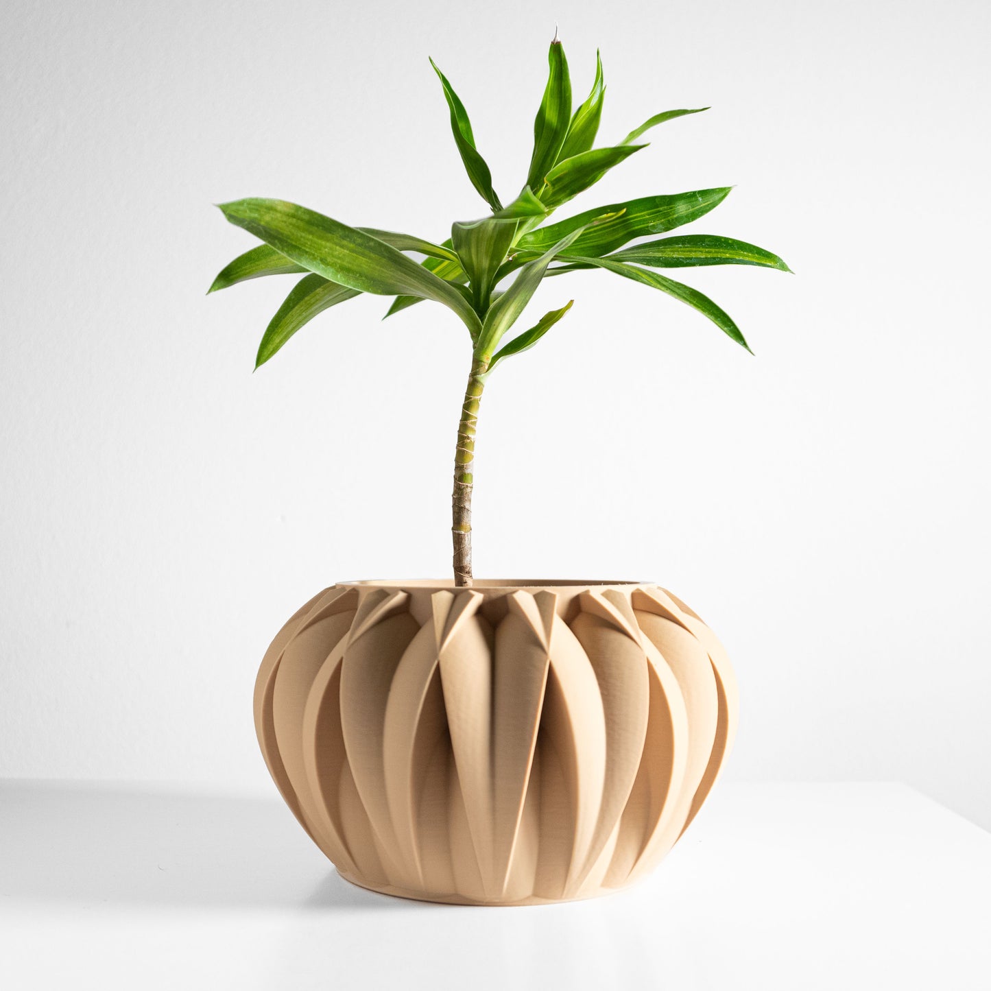 Planter Pot, Geometric Indoor Vessel, Sculptural Desk Organizer, Nordic Minimalist