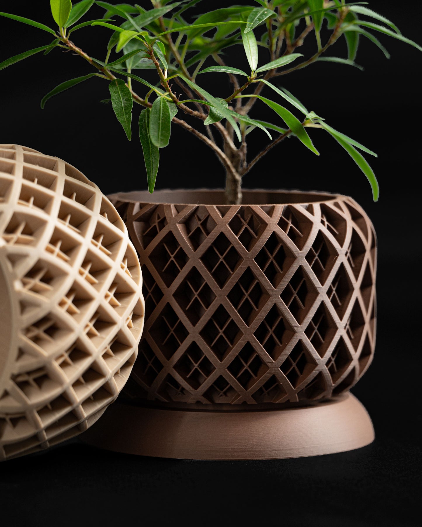 Indoor Planter, Succulent Pot, Herb Container, Modern Stand, Minimalist Decorative