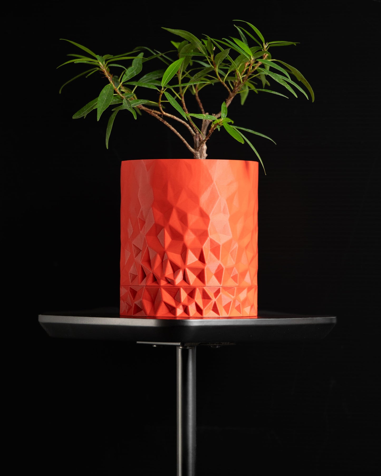 Wall Planter, Architectural Geometric Herb Holder, Nordic Sculptural Desk Organizer