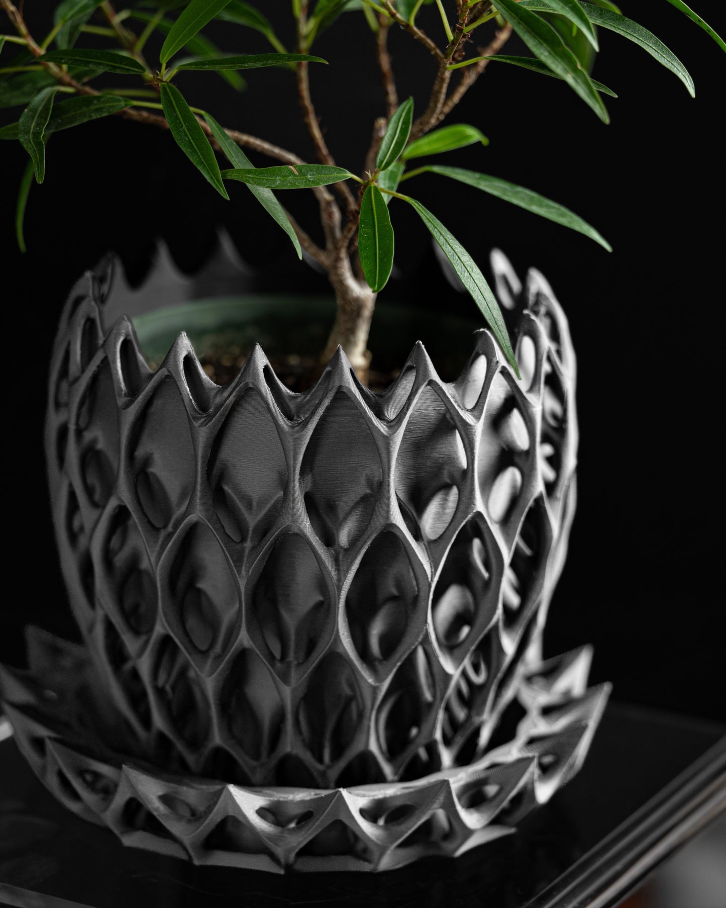 Succulent Planter, Geometric Pot, Minimalist Desk Organizer, Modern Tabletop Accent