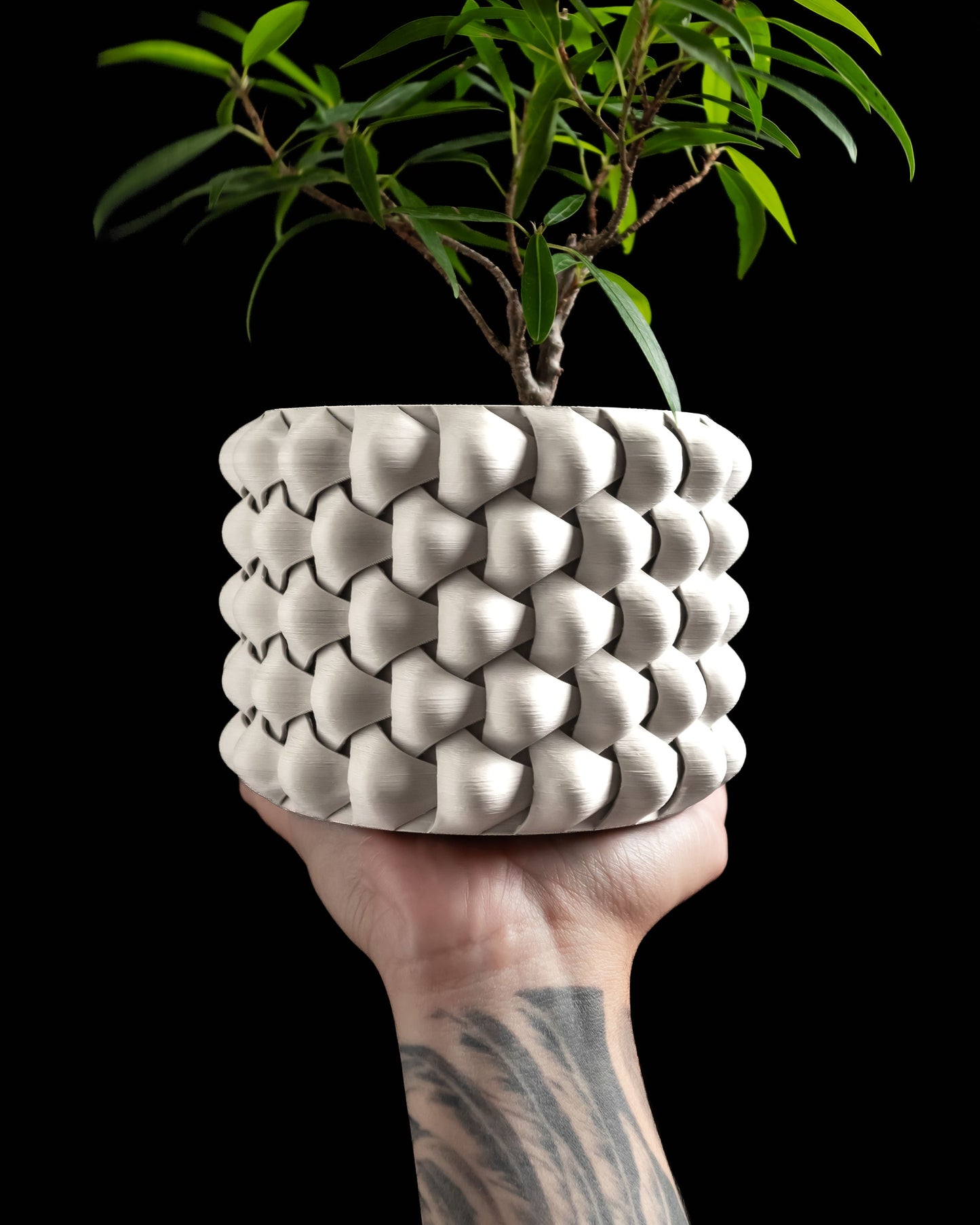 succulent planter, contemporary geometric container, minimalist indoor decor, desk organizer