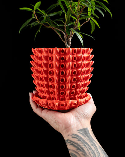 Planter Pot, Barnacle Inspired Succulent Vessel, Desktop Herb Holder, Contemporary