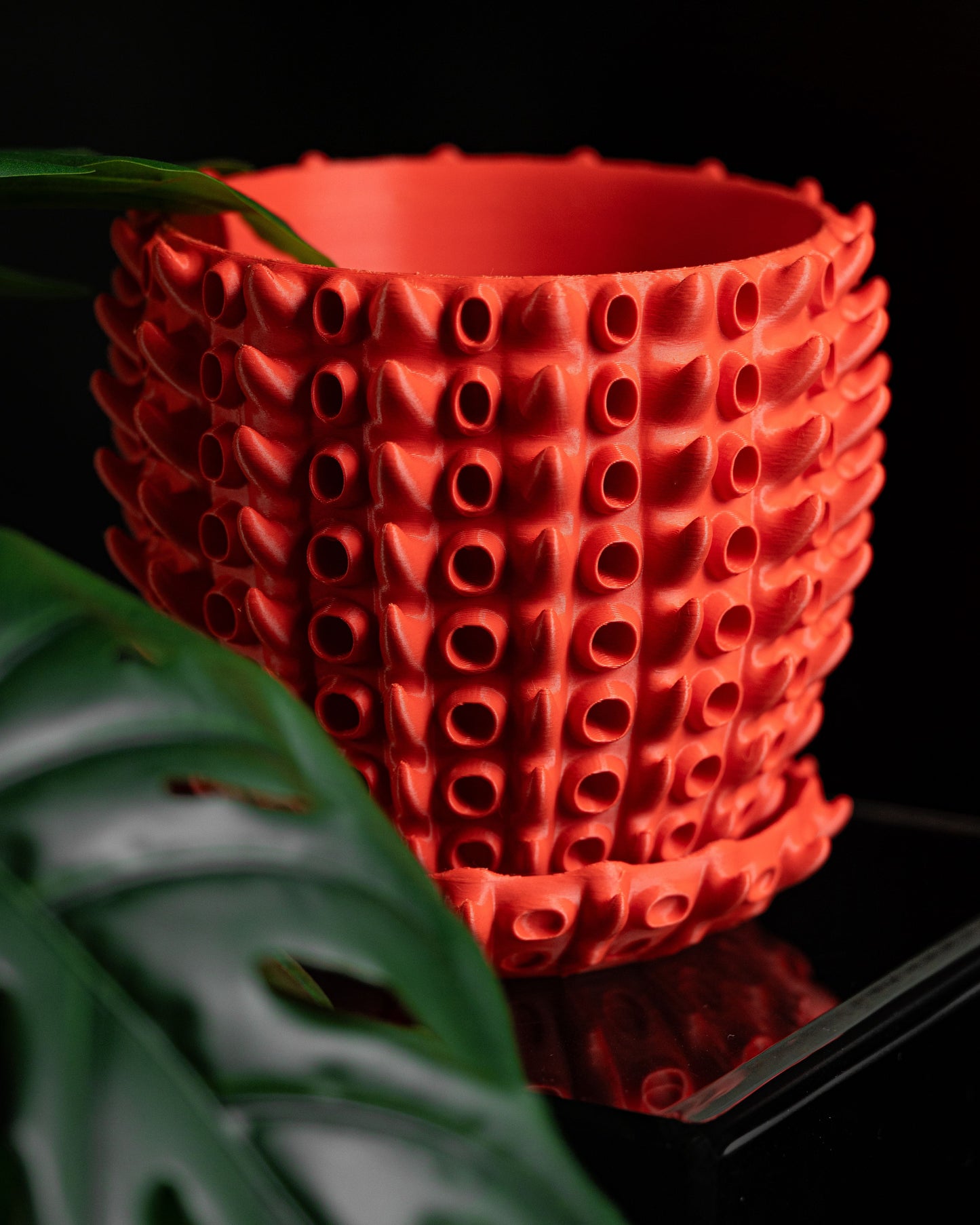 Planter Pot, Barnacle Inspired Succulent Vessel, Desktop Herb Holder, Contemporary