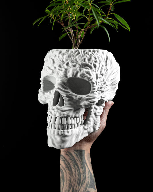 Skull Planter, Gothic Succulent Organizer, Skeleton Halloween Pot, DecorativeSkull StatementPlanter