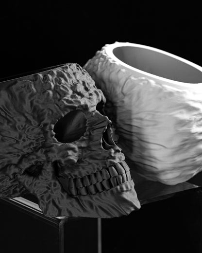 Skull Planter, Gothic Succulent Organizer, Skeleton Halloween Pot, DecorativeSkull StatementPlanter