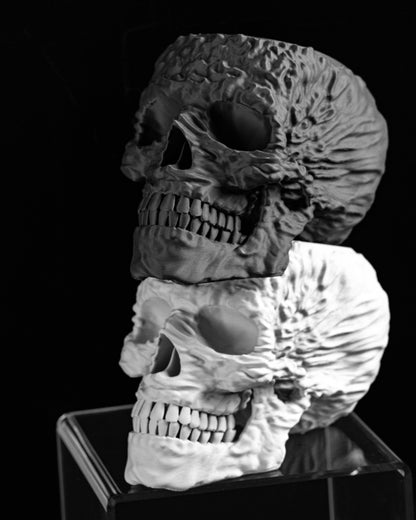 Skull Planter, Gothic Succulent Organizer, Skeleton Halloween Pot, DecorativeSkull StatementPlanter