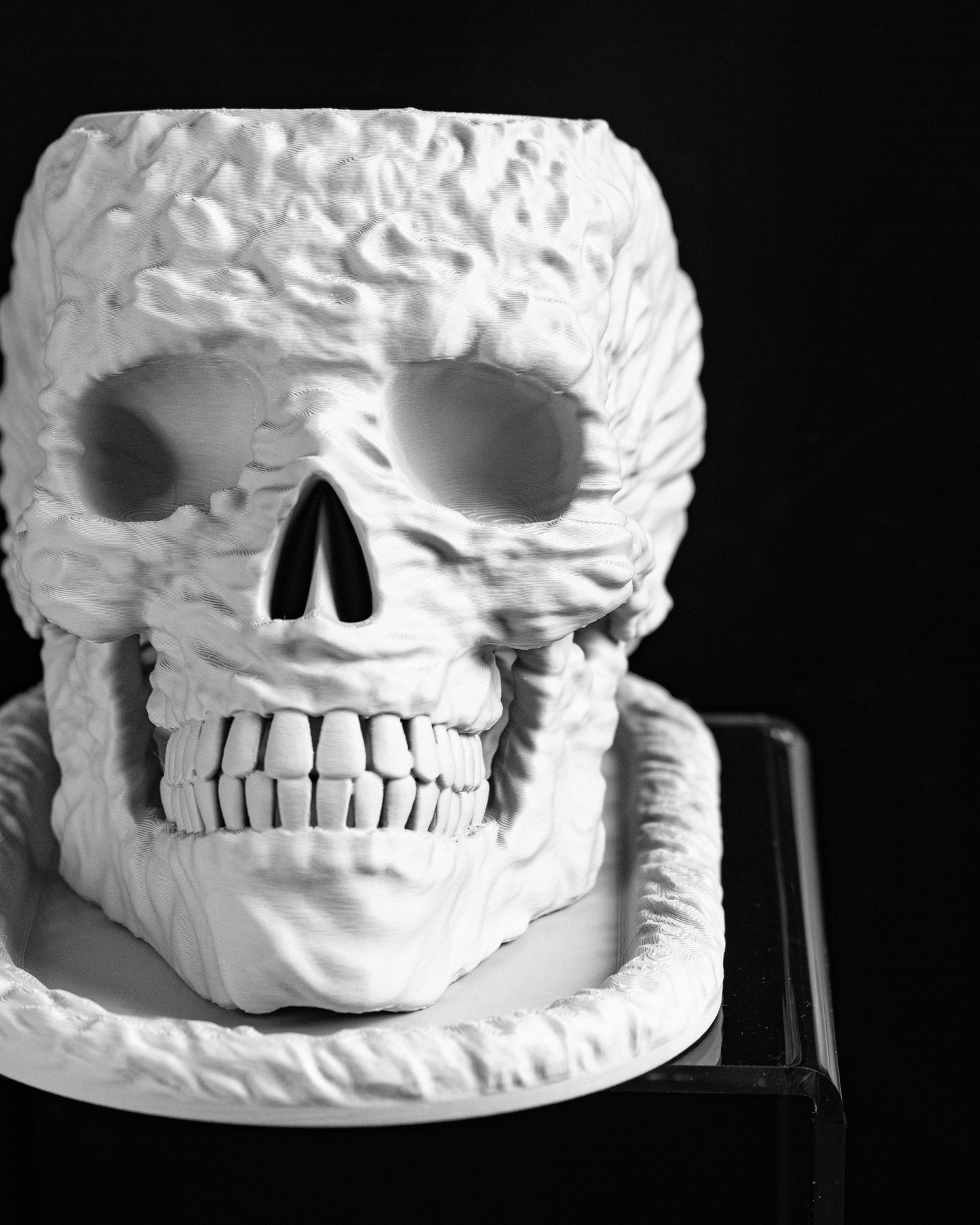 Skull Planter, Gothic Succulent Organizer, Skeleton Halloween Pot, DecorativeSkull StatementPlanter