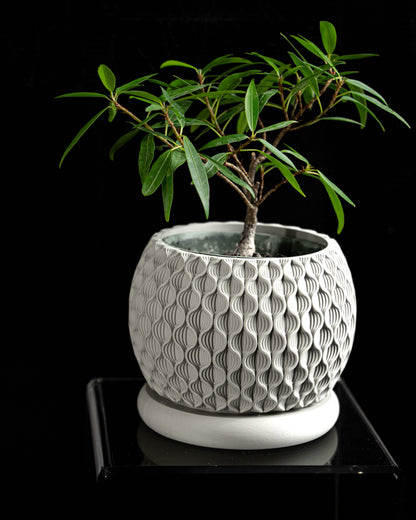 Planter Pot, Succulent Container, Indoor Plant Holder, Planter Desktop Accent, Minimalist