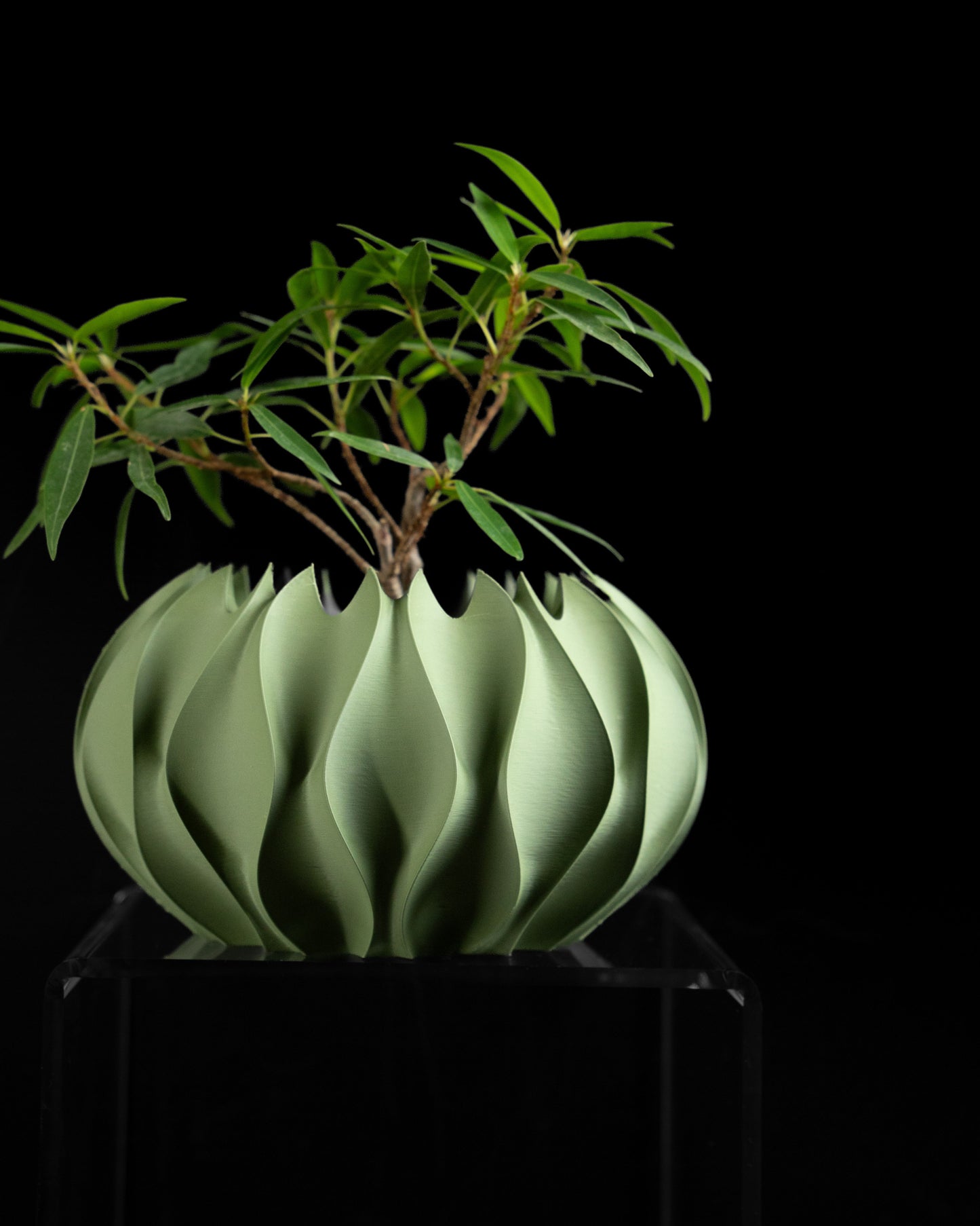 planter pot, indoor herb container, succulent holder, desk organizer, contemporary