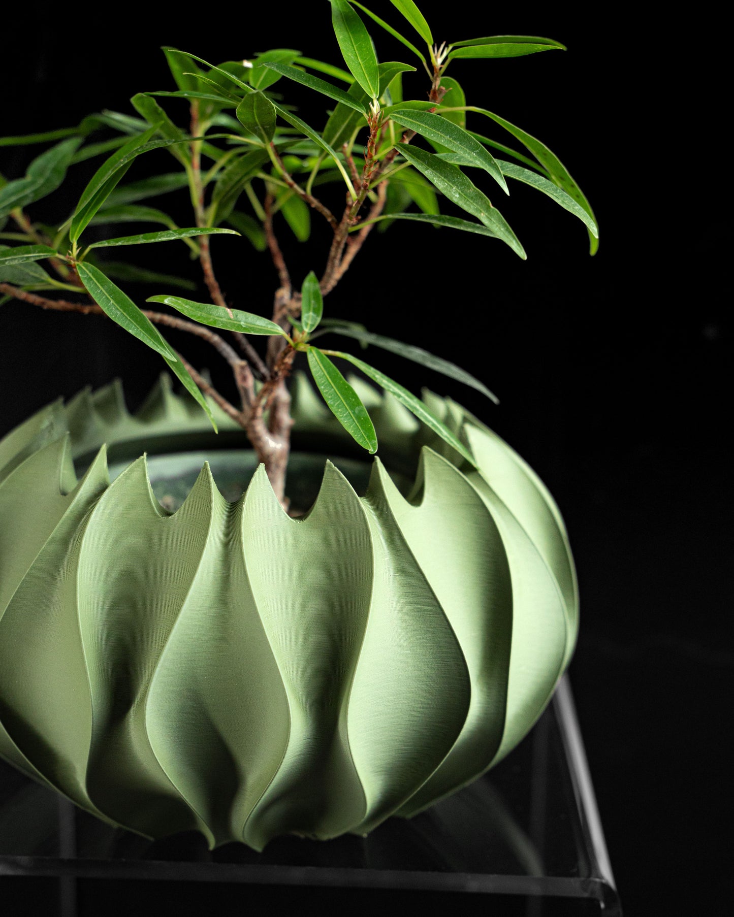 planter pot, indoor herb container, succulent holder, desk organizer, contemporary