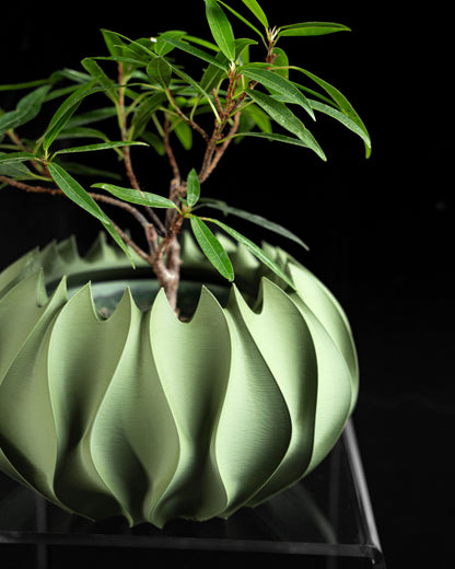 planter pot, indoor herb container, succulent holder, desk organizer, contemporary