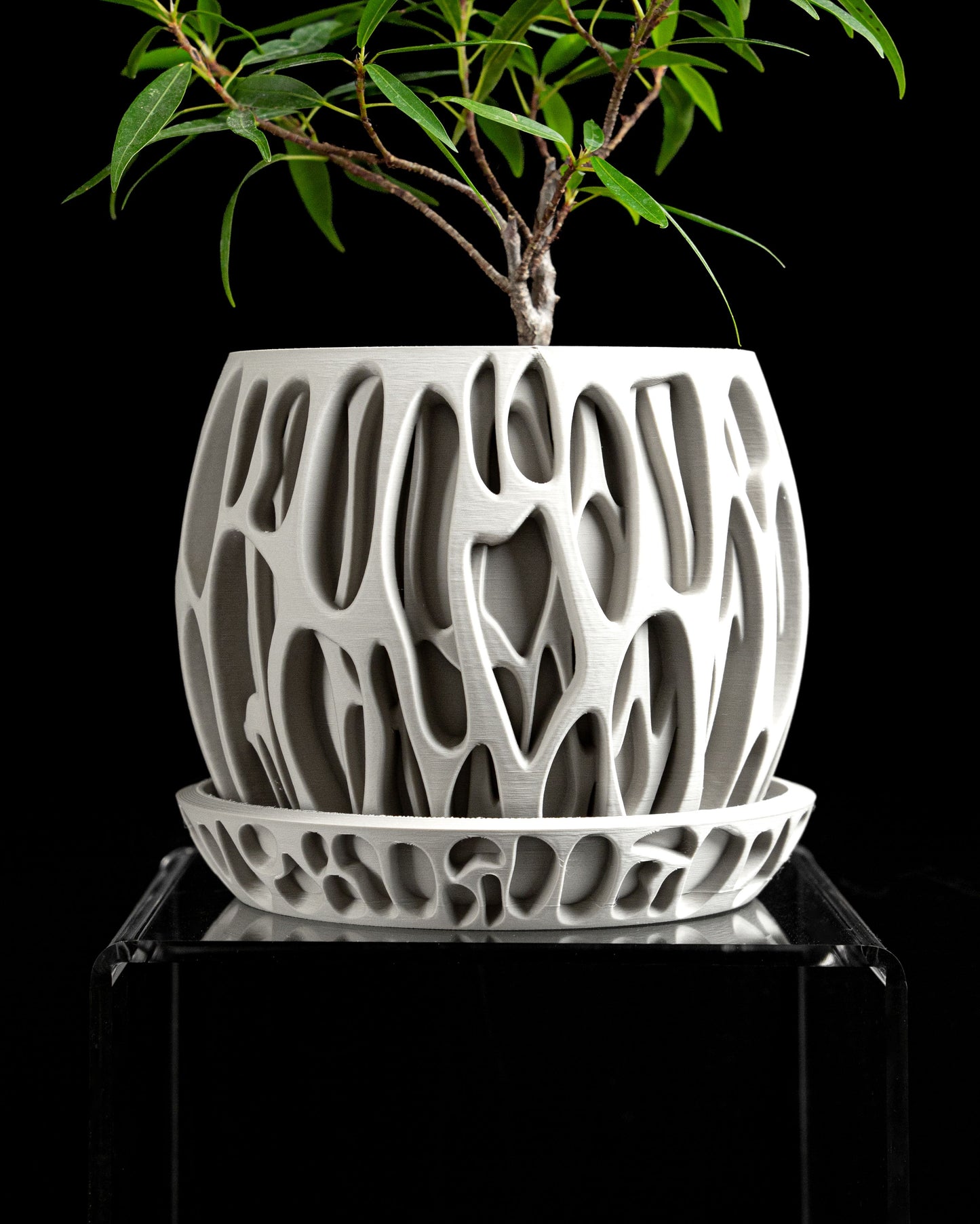 Succulent Planter, Minimalist Indoor Pot, Desktop Organizer, Whimsical Modern Decor