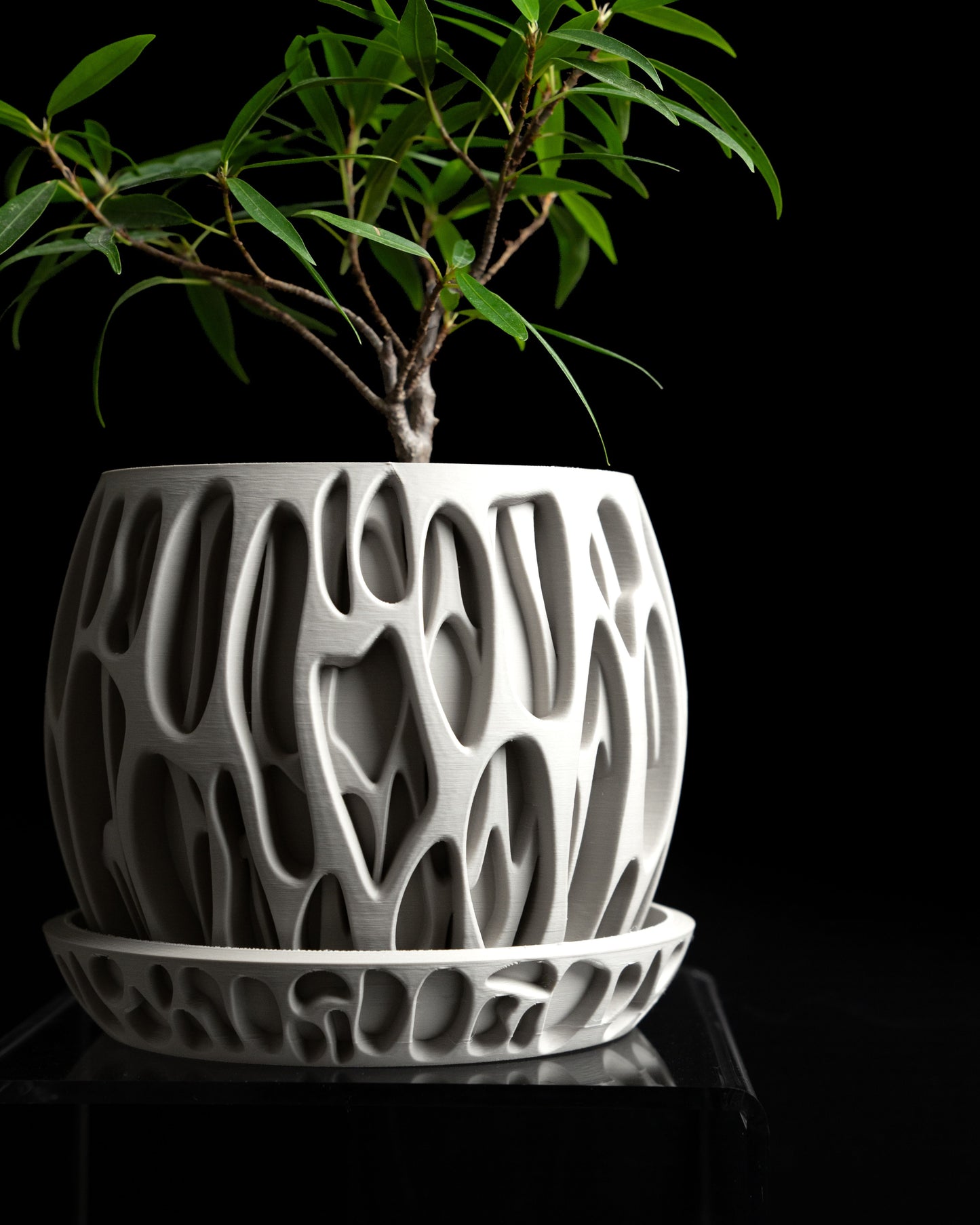 Succulent Planter, Minimalist Indoor Pot, Desktop Organizer, Whimsical Modern Decor