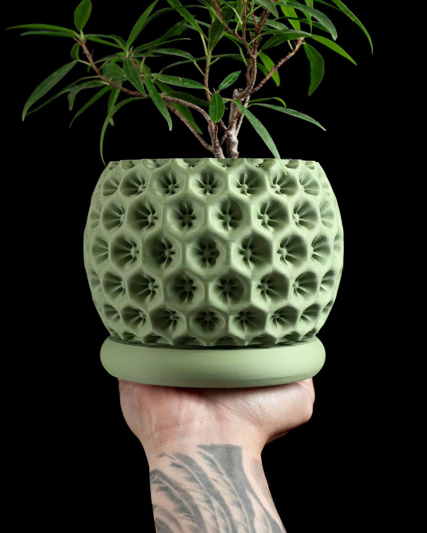 Planter Pot, Indoor Herb Holder, Desk Organizer, Contemporary Succulent Container