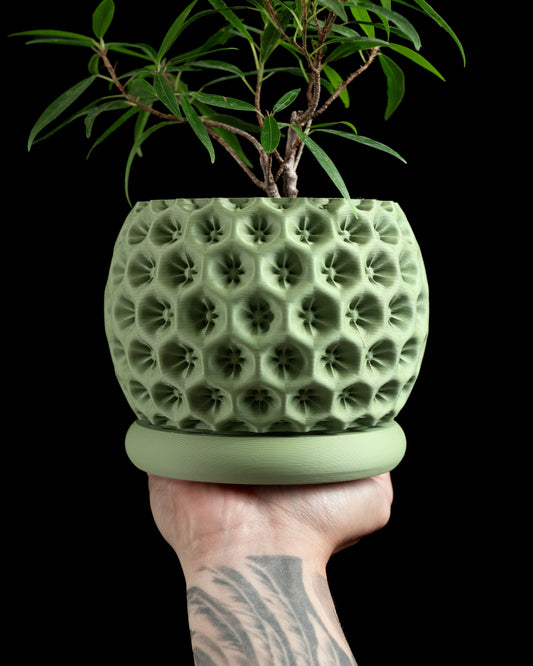 Planter Pot, Indoor Herb Holder, Desk Organizer, Contemporary Succulent Container