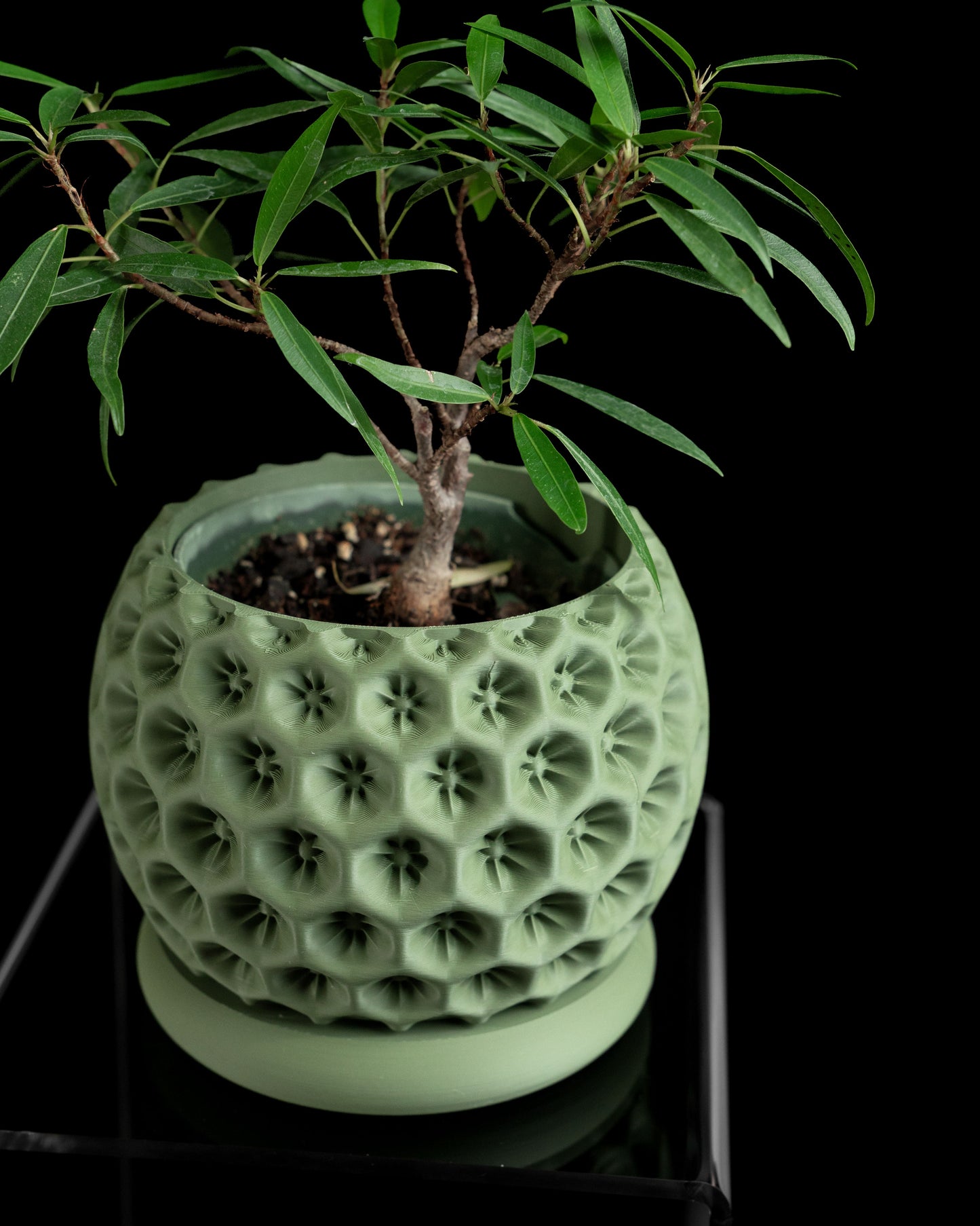 Planter Pot, Indoor Herb Holder, Desk Organizer, Contemporary Succulent Container