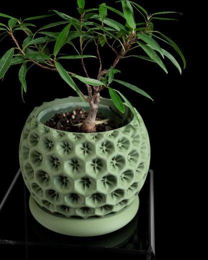 Planter Pot, Indoor Herb Holder, Desk Organizer, Contemporary Succulent Container