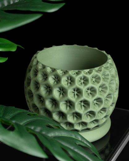 Planter Pot, Indoor Herb Holder, Desk Organizer, Contemporary Succulent Container