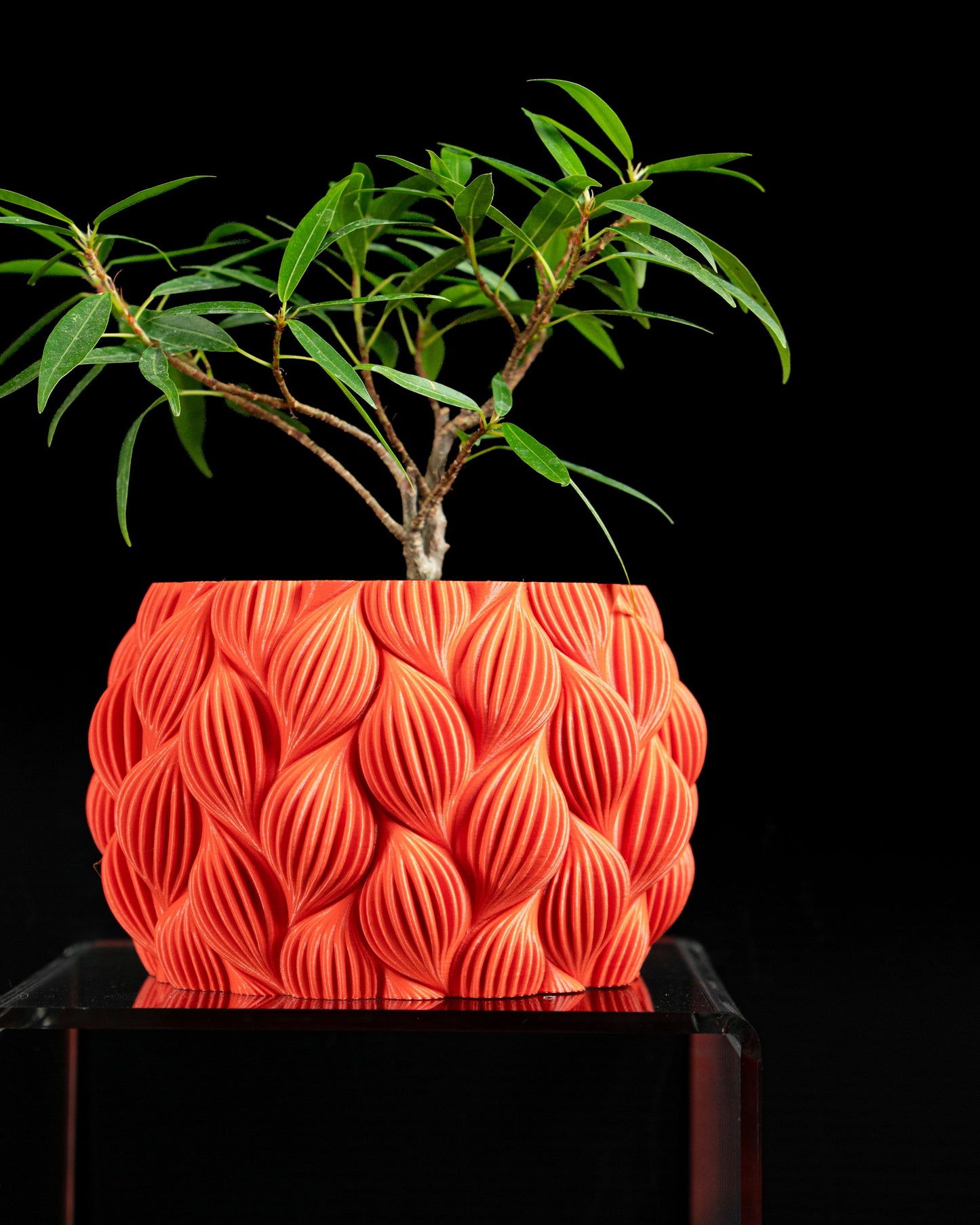 Ripple Planter Pot, Desktop Succulent Display, Contemporary Organizer, Vibrant Orange