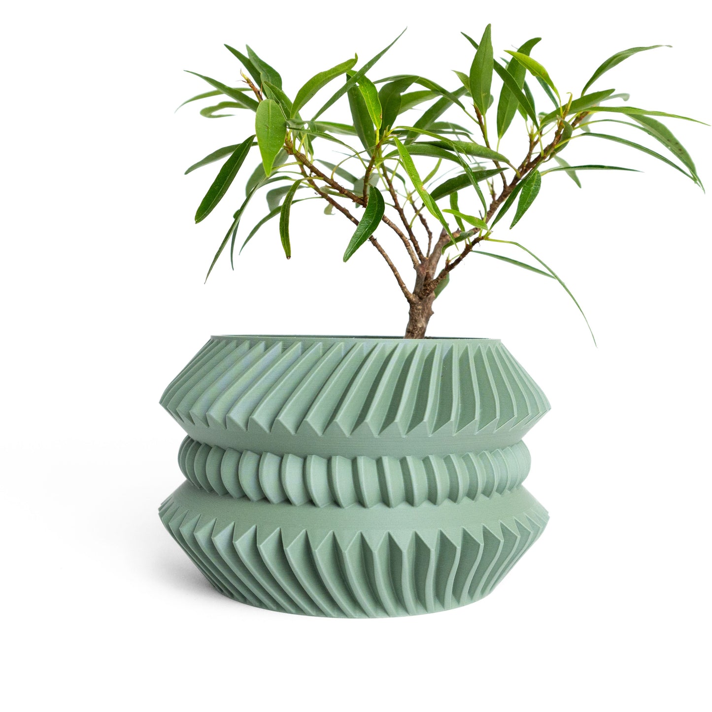 Planter Pot Contemporary Sculptural Succulent Holder, Indoor Container, Desk Organizer