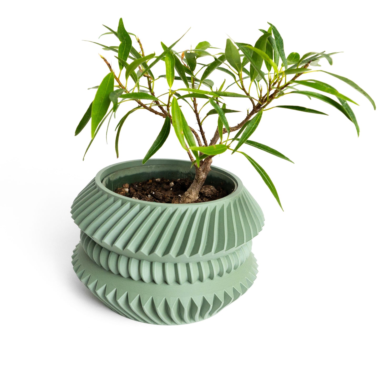 Planter Pot Contemporary Sculptural Succulent Holder, Indoor Container, Desk Organizer