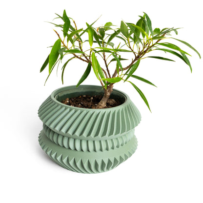 Planter Pot Contemporary Sculptural Succulent Holder, Indoor Container, Desk Organizer