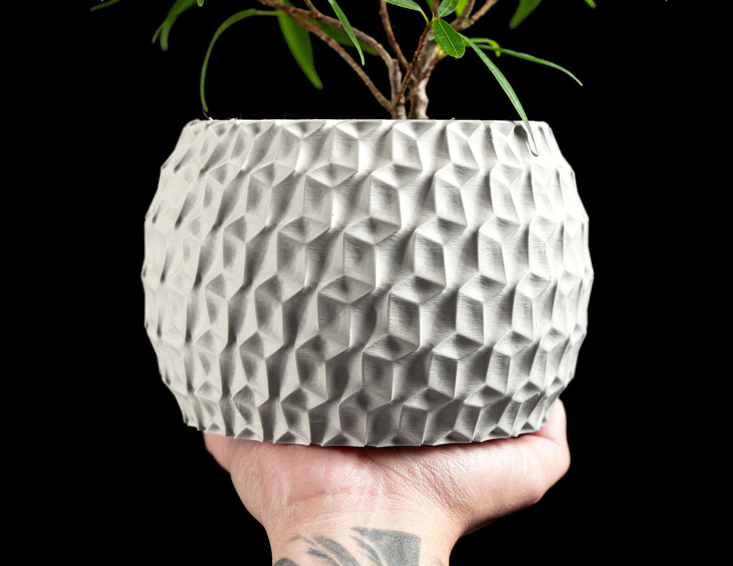 Hexagon Planter, Indoor Succulent Pot, Modern Desk Container, Home Decoration, Minimalist Plant Accent