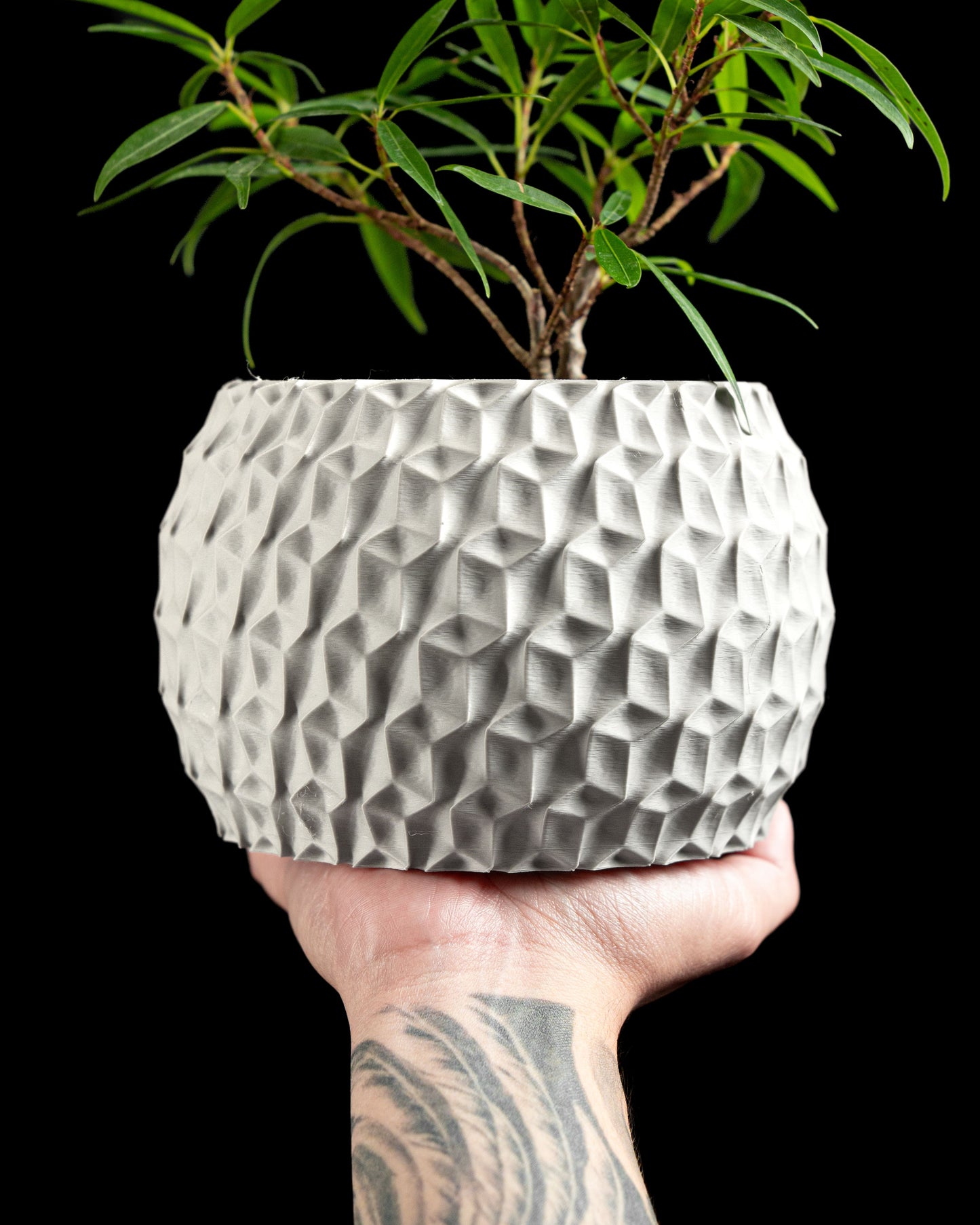 Hexagon Planter, Indoor Succulent Pot, Modern Desk Container, Home Decoration, Minimalist Plant Accent