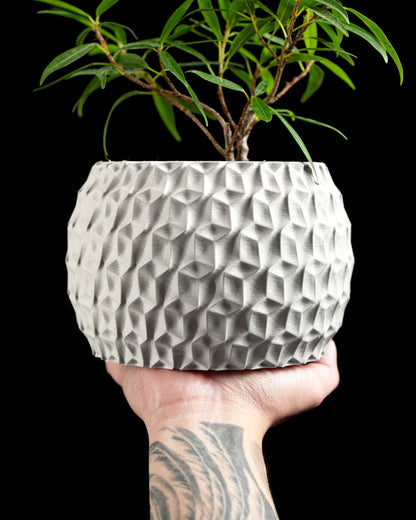 Hexagon Planter, Indoor Succulent Pot, Modern Desk Container, Home Decoration, Minimalist Plant Accent
