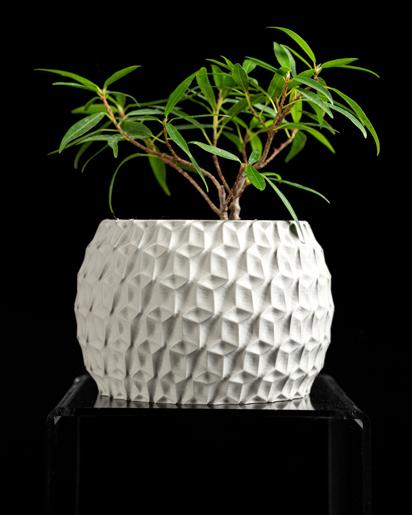 Hexagon Planter, Indoor Succulent Pot, Modern Desk Container, Home Decoration, Minimalist Plant Accent