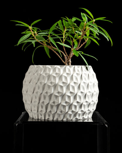 Hexagon Planter, Indoor Succulent Pot, Modern Desk Container, Home Decoration, Minimalist Plant Accent