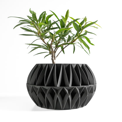 Succulent Planter, Nordic Sculptural Organizer, Minimalist Herb Holder, Modern Accent