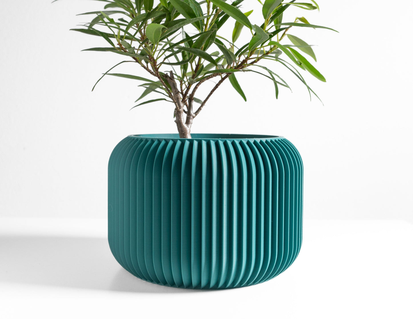 Succulent Planter, Indoor Minimalist Cactus Pot, Compact Herb Holder, Contemporary