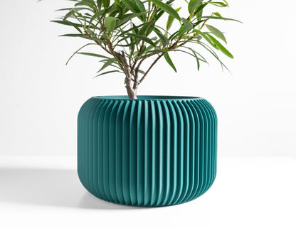 Succulent Planter, Indoor Minimalist Cactus Pot, Compact Herb Holder, Contemporary