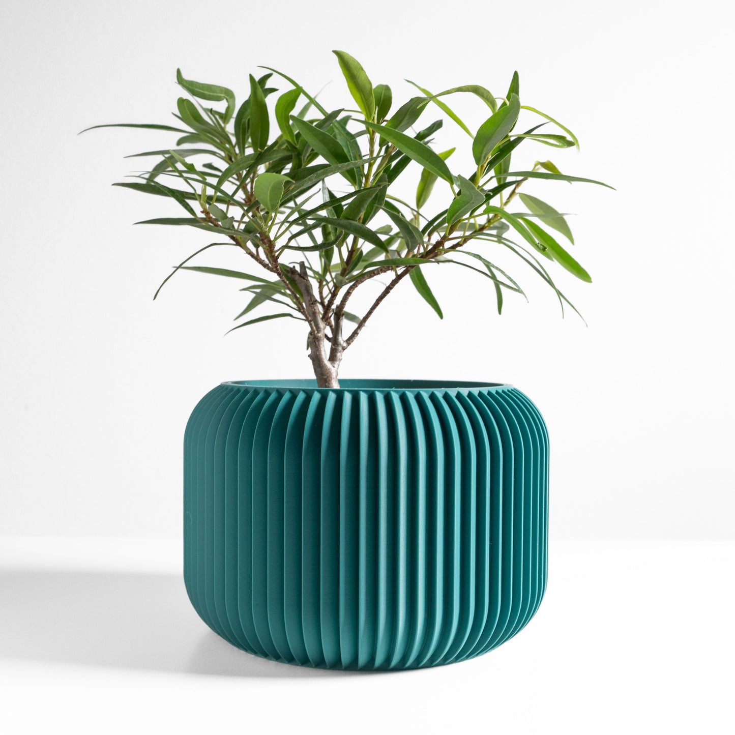 Succulent Planter, Indoor Minimalist Cactus Pot, Compact Herb Holder, Contemporary