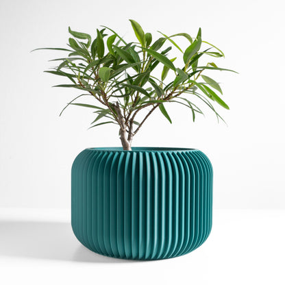 Succulent Planter, Indoor Minimalist Cactus Pot, Compact Herb Holder, Contemporary