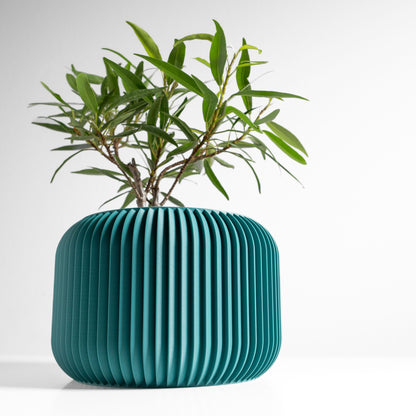 Succulent Planter, Indoor Minimalist Cactus Pot, Compact Herb Holder, Contemporary