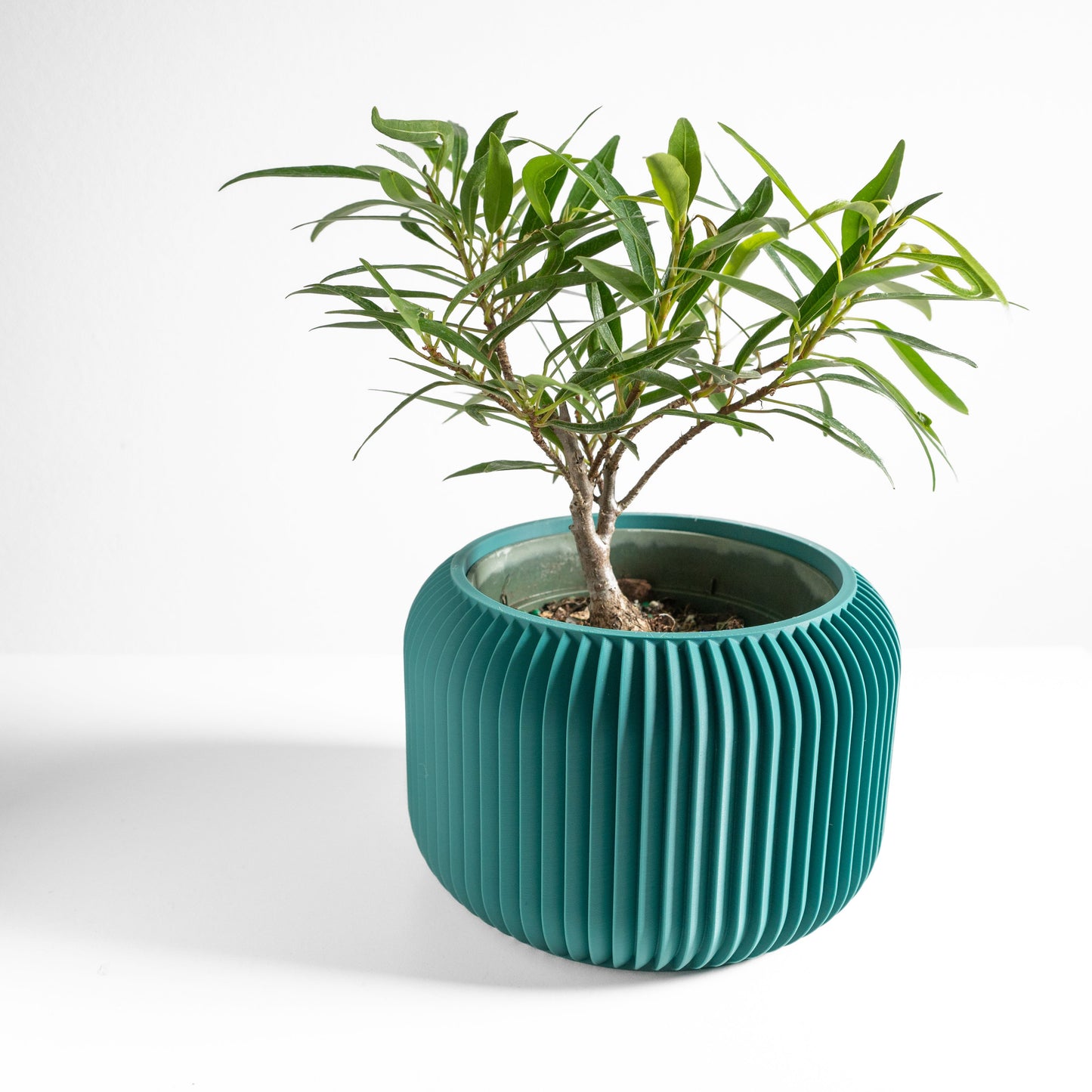 Succulent Planter, Indoor Minimalist Cactus Pot, Compact Herb Holder, Contemporary