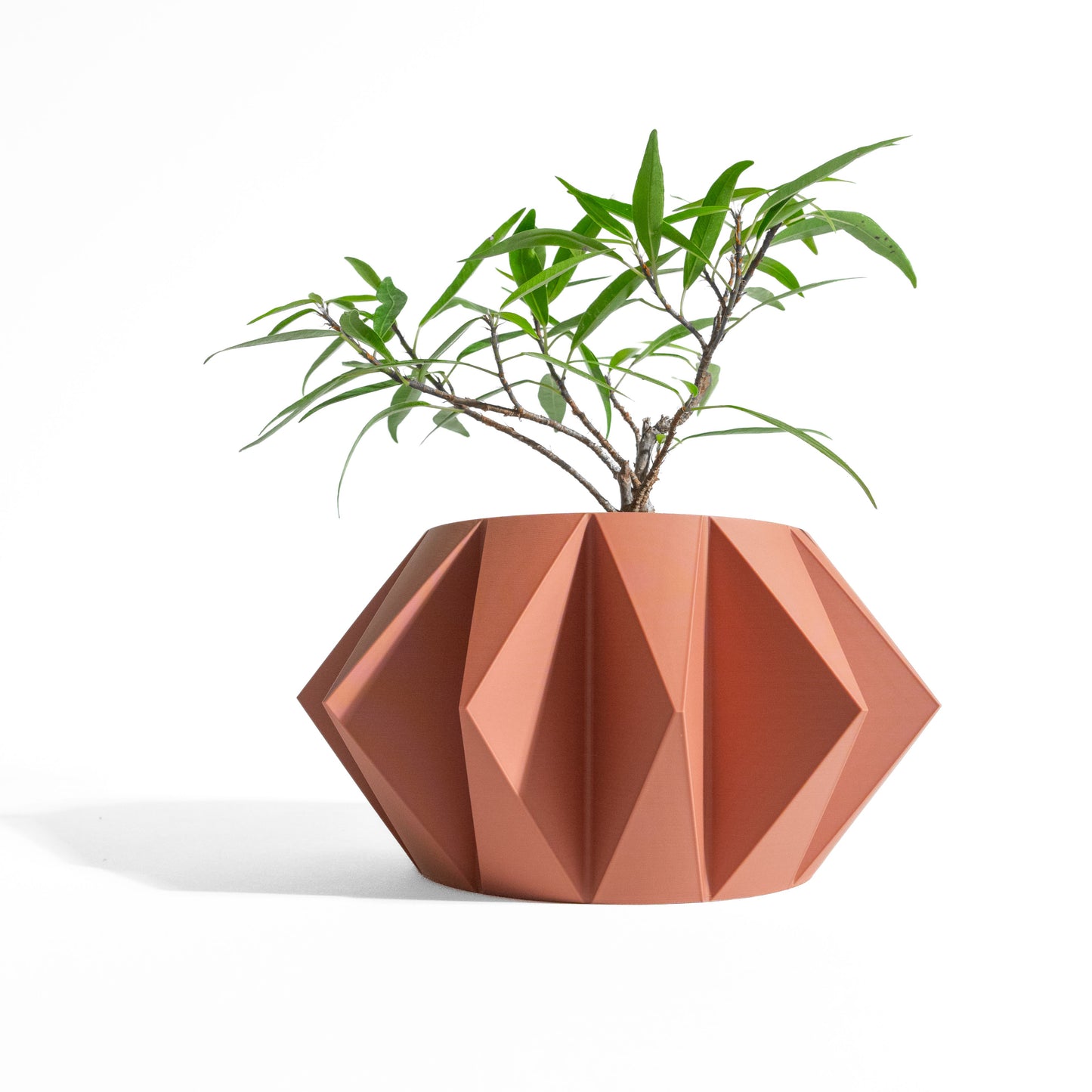 Succulent Planter, Contemporary Geometric Vessel, Modern Desk Organizer, Stylish Accent