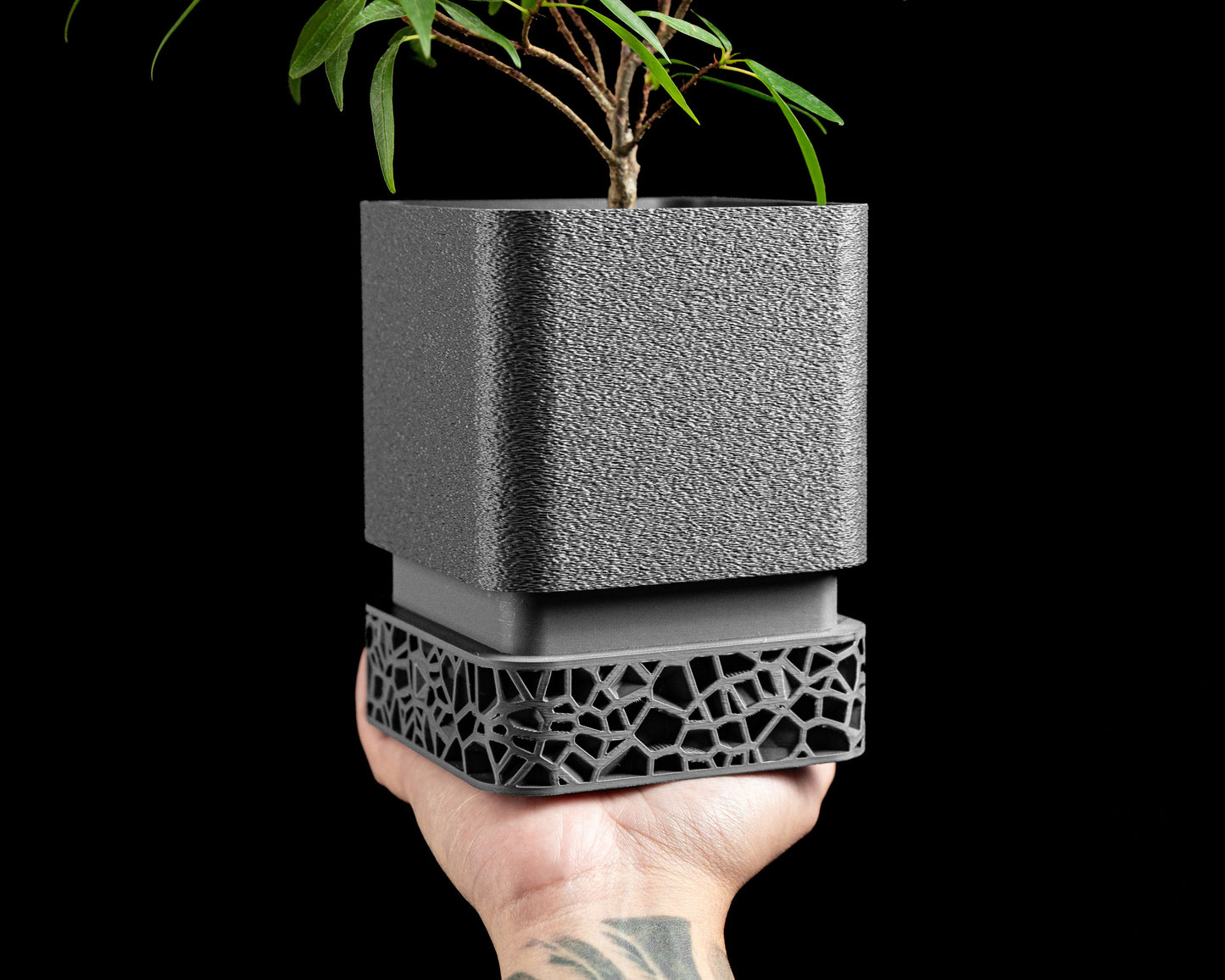 Planter Pot, Sculptural Desk, Herb Holder, Succulent Display, Contemporary Greenery