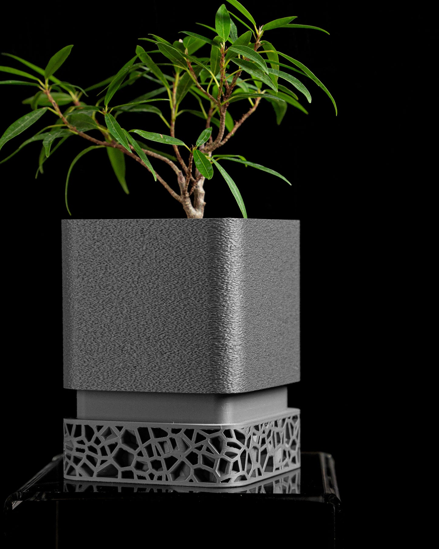 Planter Pot, Sculptural Desk, Herb Holder, Succulent Display, Contemporary Greenery