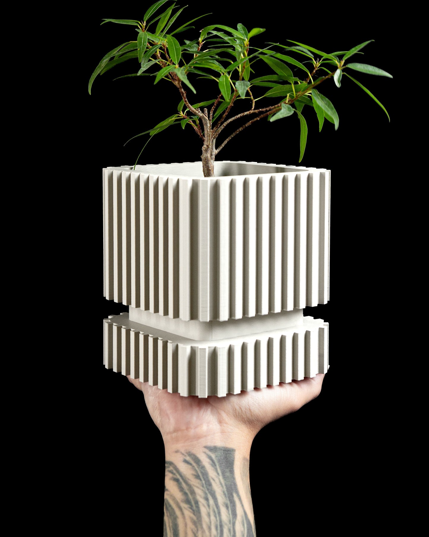 Succulent Planter, Indoor Herb Container, Desk Organizer, Minimalist Elegant Decor