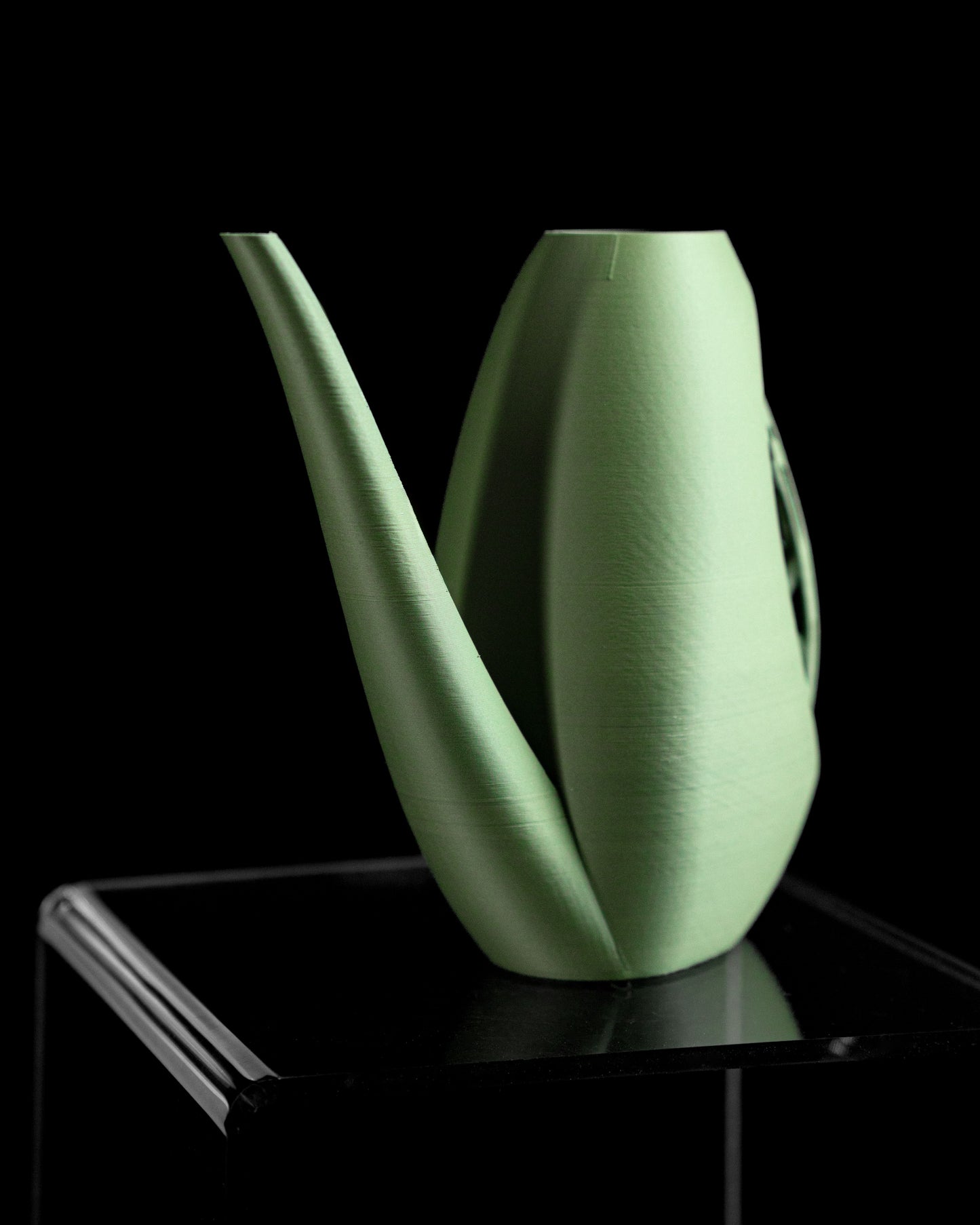 Indoor Watering Can, Precision Spout Houseplant Waterer, Minimalist Japandi Style