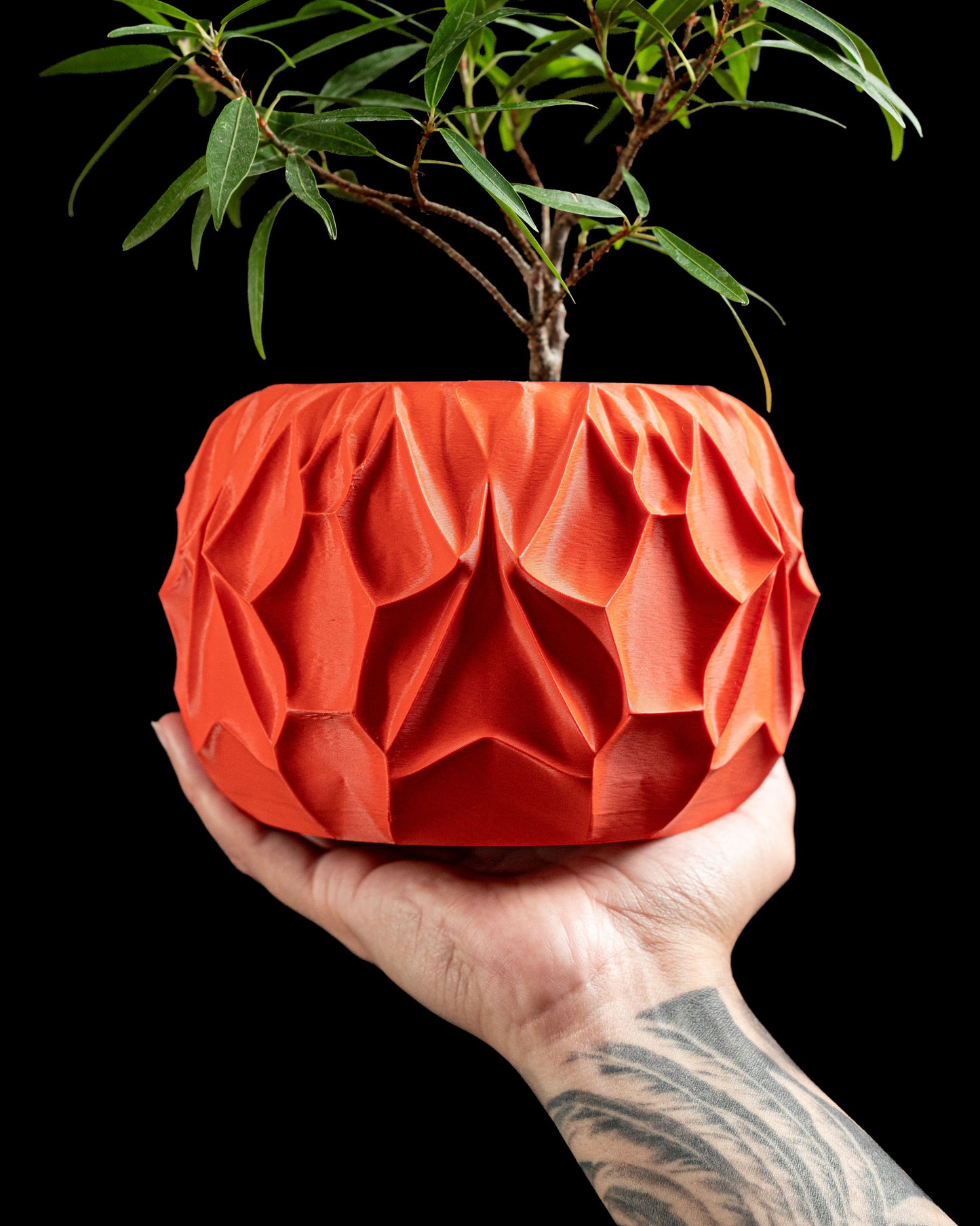 Succulent Planter, Minimalist Pot, Modern Indoor Desk Elegant Shelf Display, White